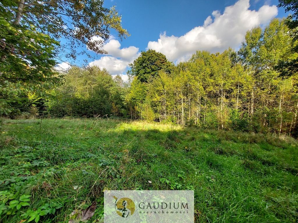 Działka Kobysewo, ul. Klasztorna. Zdjęcie 3