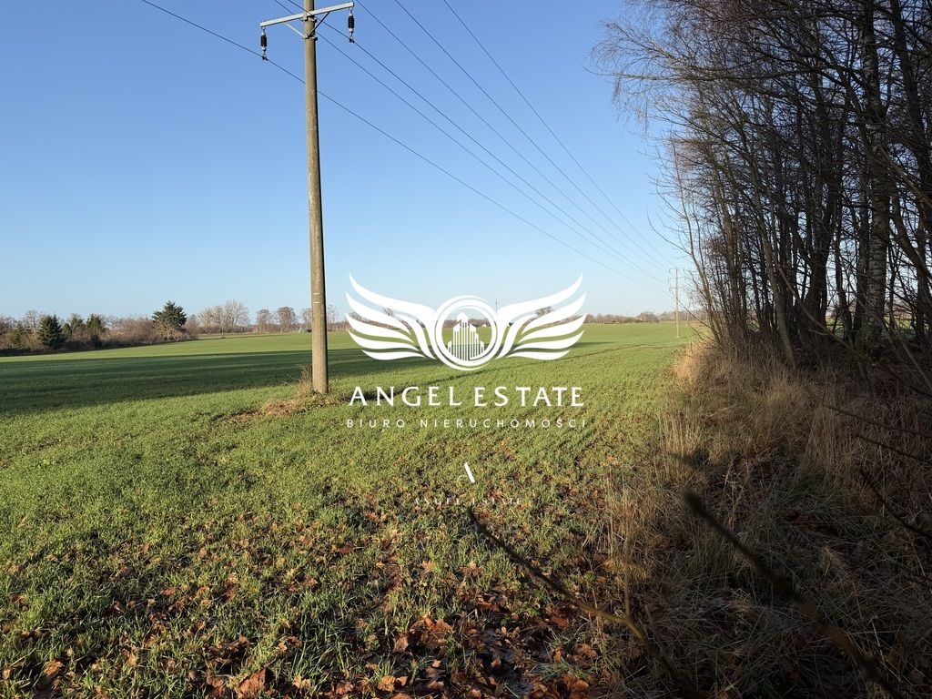 Działka rolna Mirosławice. Zdjęcie 2