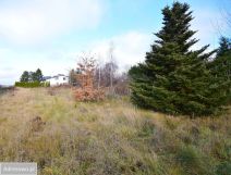 Działka budowlana Motycz. Zdjęcie 3