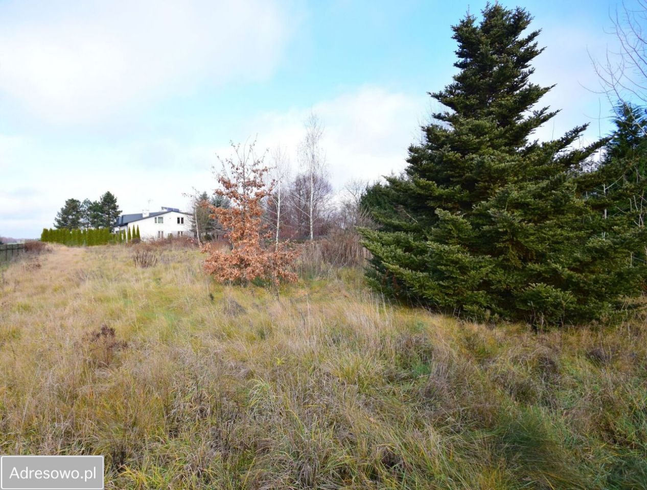 Działka budowlana Motycz. Zdjęcie 4