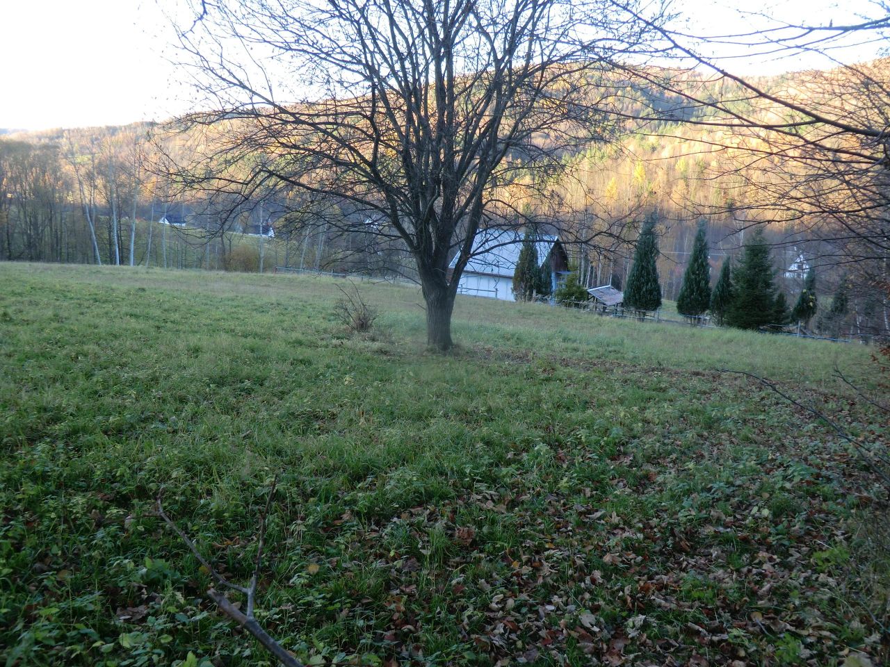 Działka rekreacyjna Juszczyna Puścizna. Zdjęcie 6