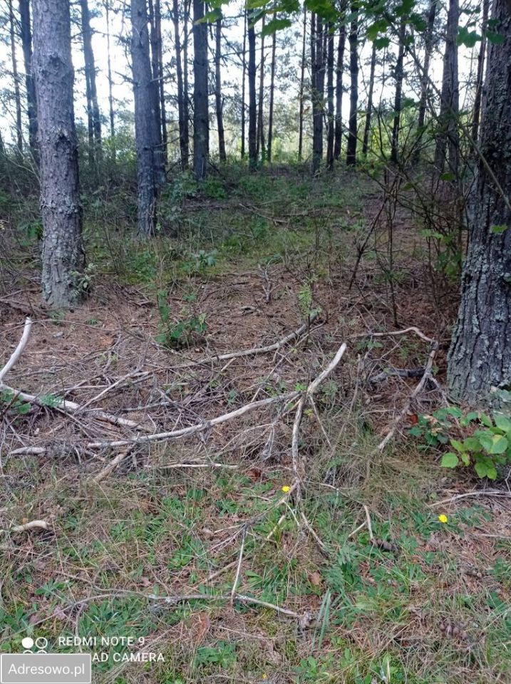 Działka budowlana Lamkowo. Zdjęcie 4