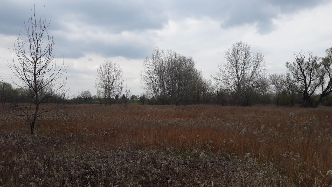 Działka rolna Warszawa Wawer, ul. Wał Miedzeszyński. Zdjęcie 3