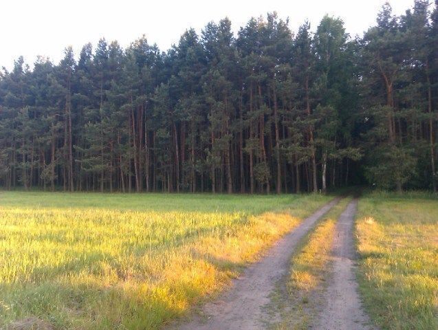 Działka budowlana Miłoszyce. Zdjęcie 5