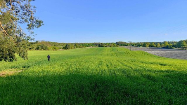 Działka rolno-budowlana Urzędów, ul. Wodna. Zdjęcie 1