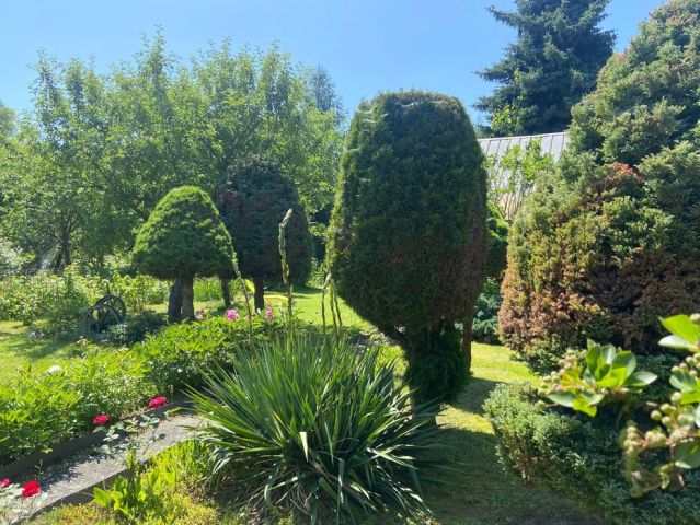 Działka rekreacyjna Kraków Czyżyny, ul. Łęgowa. Zdjęcie 1