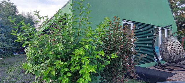 dom wolnostojący, 4 pokoje Kazuń-Bielany. Zdjęcie 1