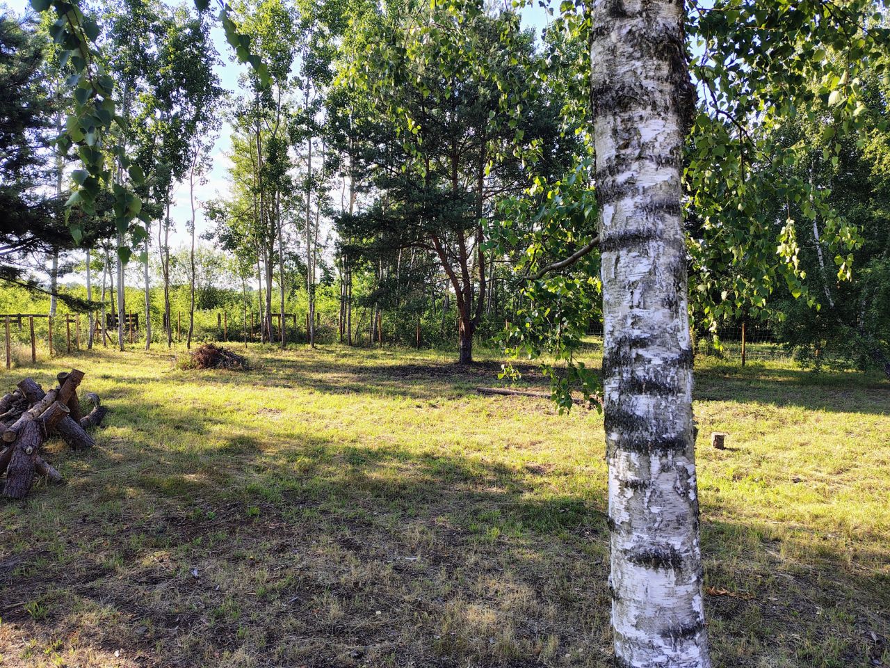 Działka budowlana Marylka, ul. Dębowa. Zdjęcie 8