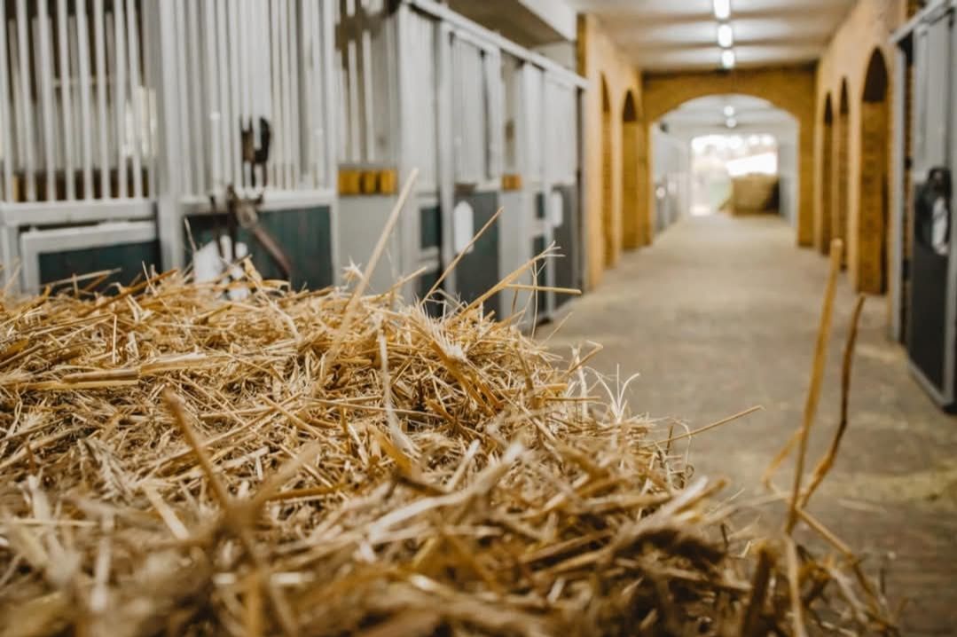 Nieruchomość komercyjna Kębliny, ul. Włościańska. Zdjęcie 4