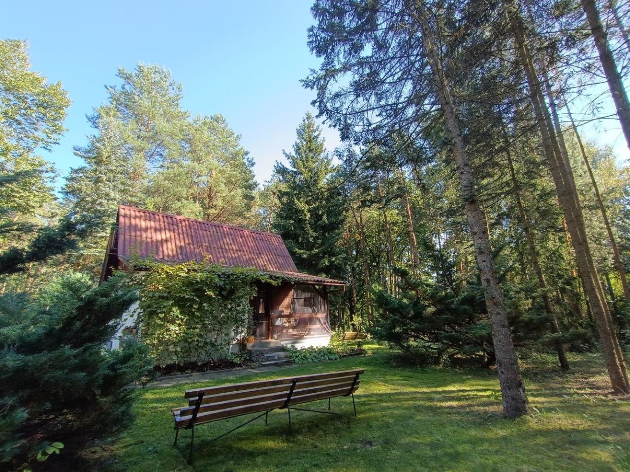 Działka rekreacyjna Popowo-Parcele. Zdjęcie 11