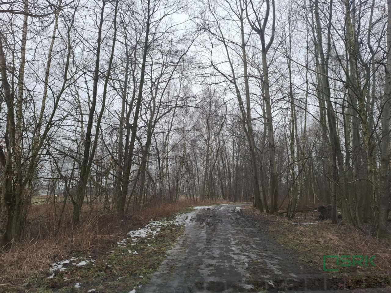 Działka inna Brzeszcze, ul. Graniczna. Zdjęcie 3