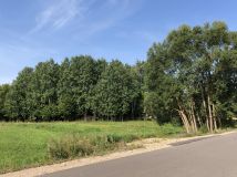Działka siedliskowa Nowa Dębszczyzna Jemielistka Linia. Zdjęcie 4