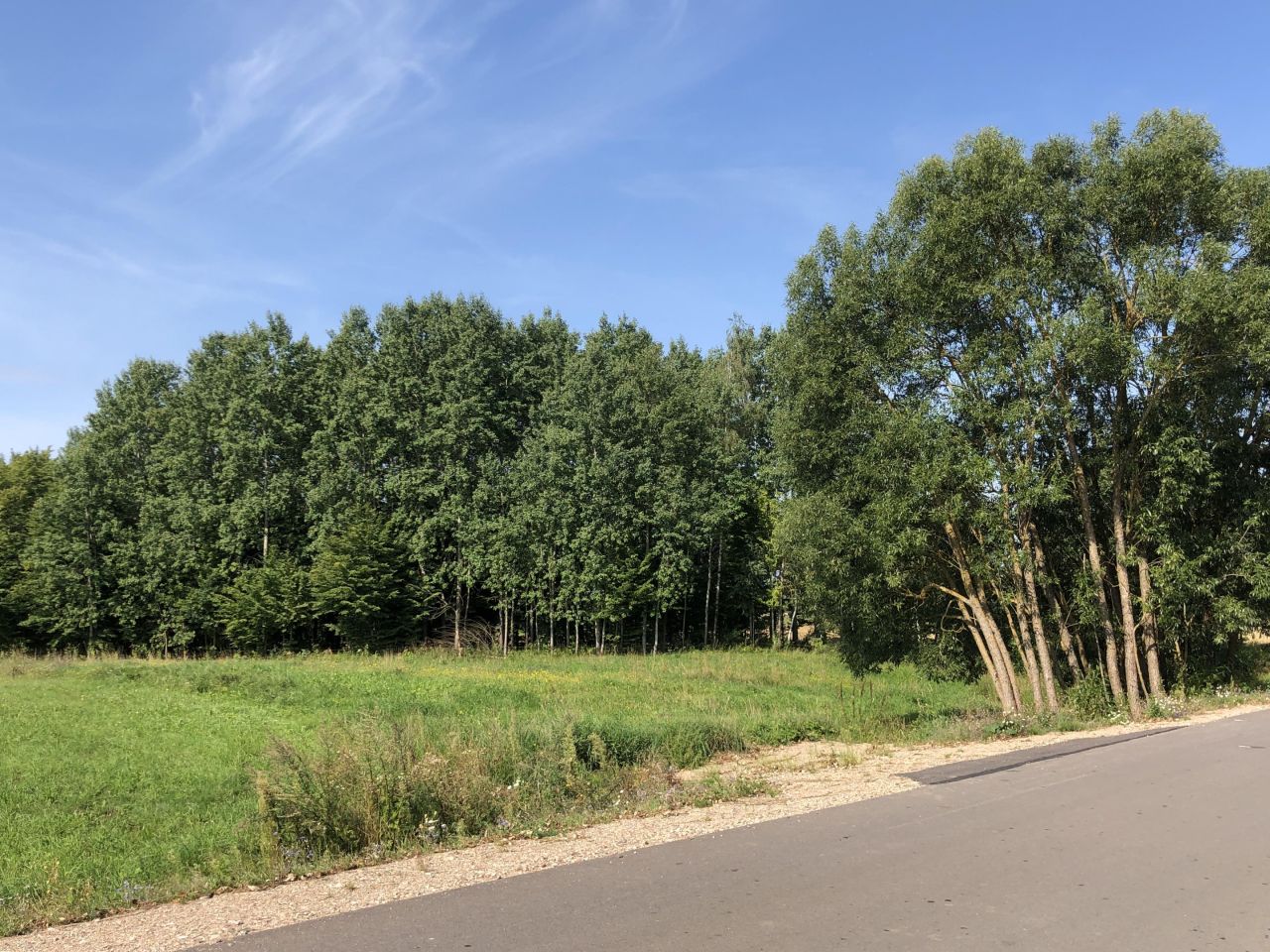 Działka siedliskowa Nowa Dębszczyzna Jemielistka Linia. Zdjęcie 5