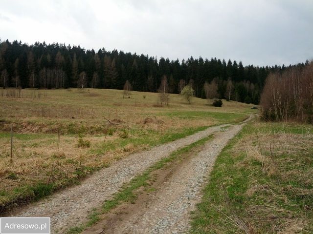 Działka rolna Bartnica. Zdjęcie 1