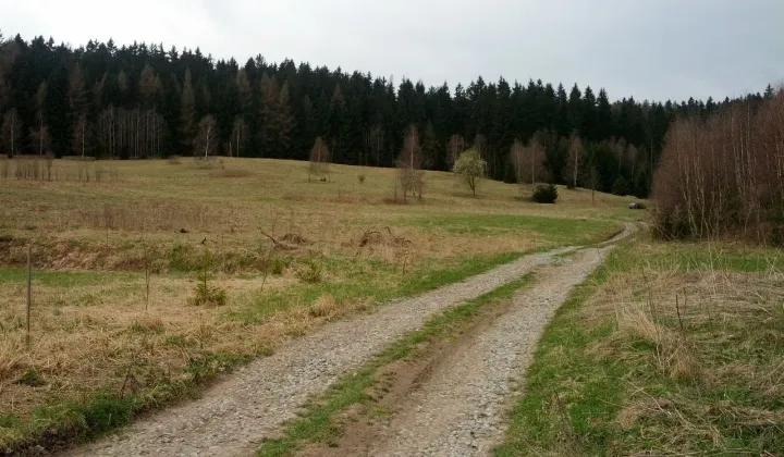 Działka rolna Bartnica