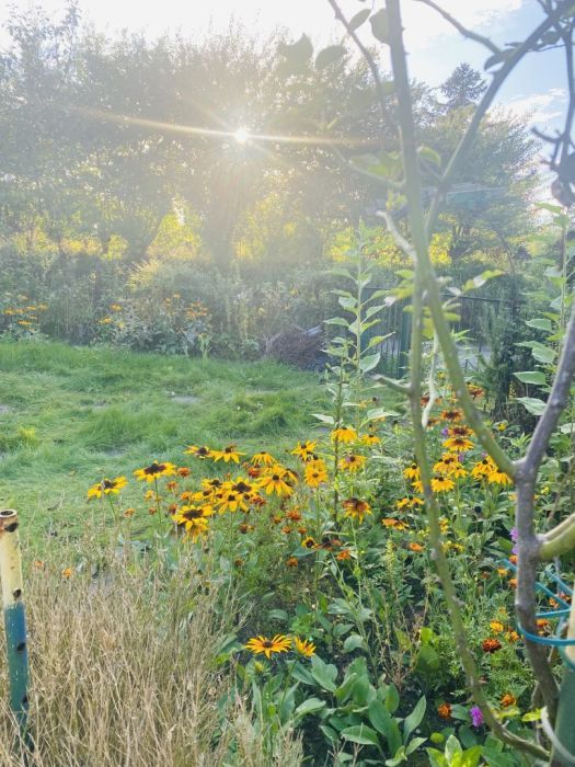 Działka rod Gdańsk Matarnia. Zdjęcie 6