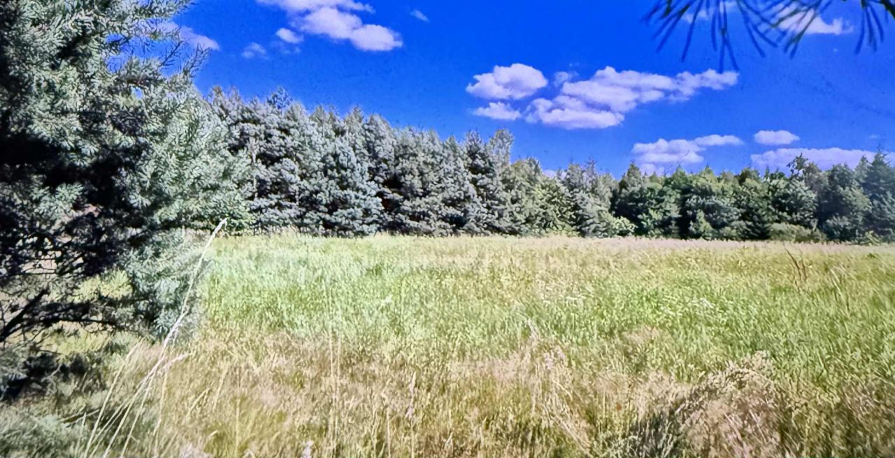 Działka rolno-budowlana Kolonia Piaski, Kolonia piaski 70. Zdjęcie 7