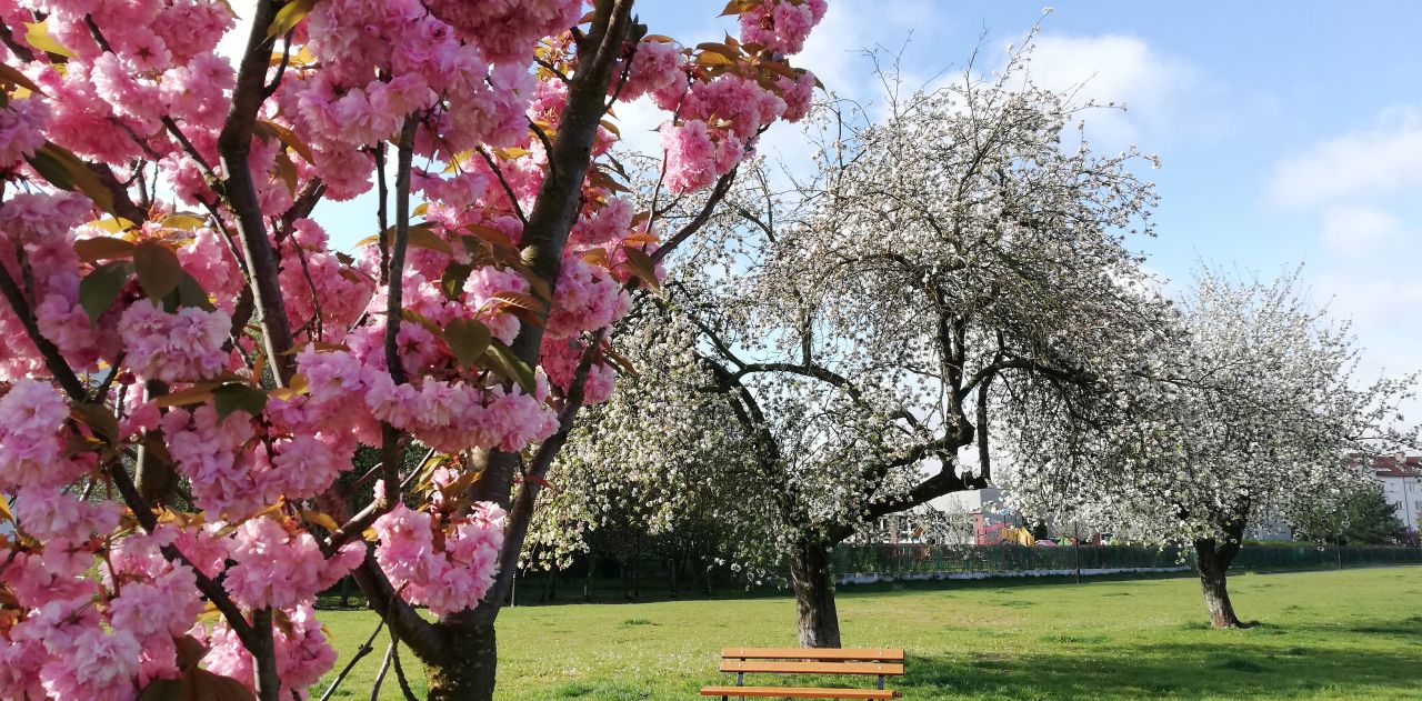 Mieszkanie 3-pokojowe Warszawa Natolin, ul. Małej Łąki. Zdjęcie 11