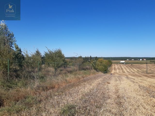 Działka budowlana Kruszyn. Zdjęcie 12