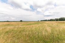 Działka rolna Rurzyca, ul. Łąkowa. Zdjęcie 1