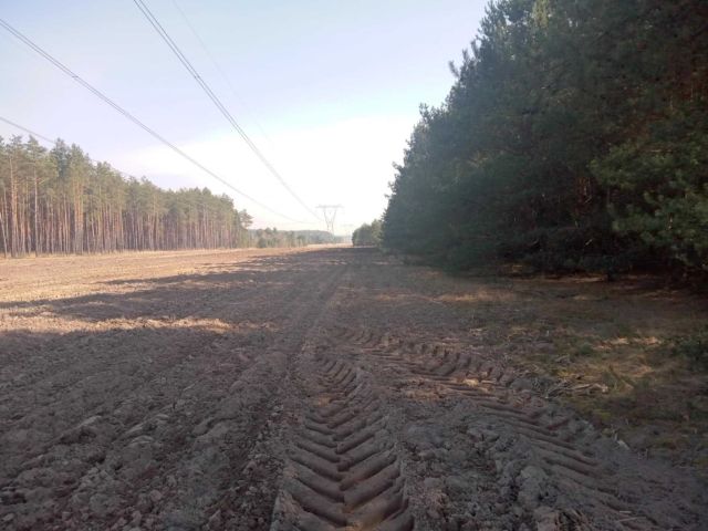 Działka rolna Śladków Duży. Zdjęcie 1