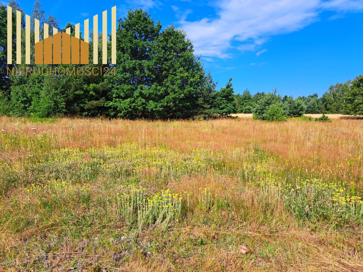 Działka budowlana Mrozy. Zdjęcie 6