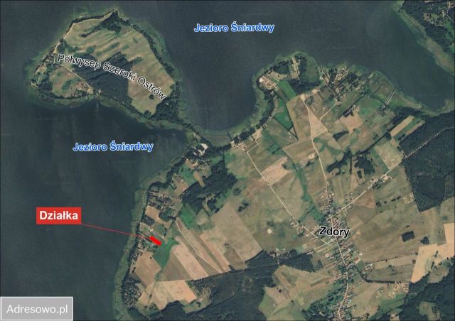 Działka siedliskowa Zdory. Zdjęcie 1