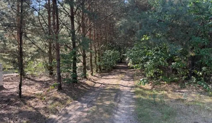 Działka budowlana Siestrzeń