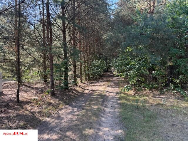 Działka budowlana Siestrzeń. Zdjęcie 1