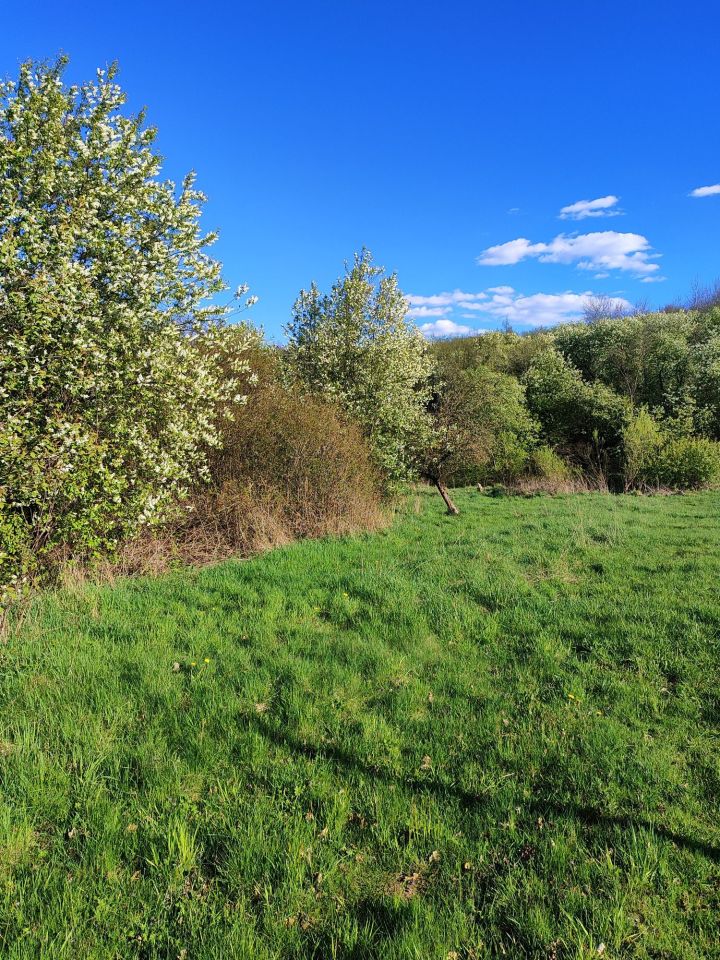 Działka rolno-budowlana Jurczyce. Zdjęcie 4