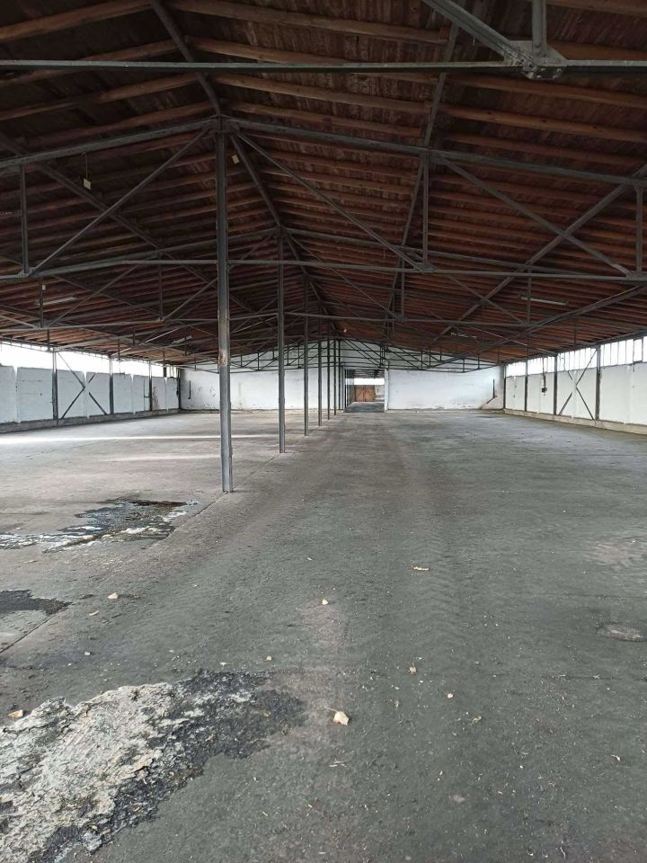 Hala/magazyn Prabuty. Zdjęcie 7