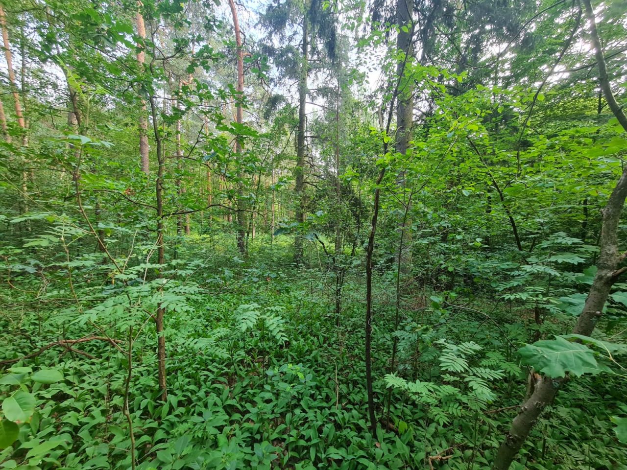 dom letniskowy, 3 pokoje Kębliny, ul. Letniskowa. Zdjęcie 6