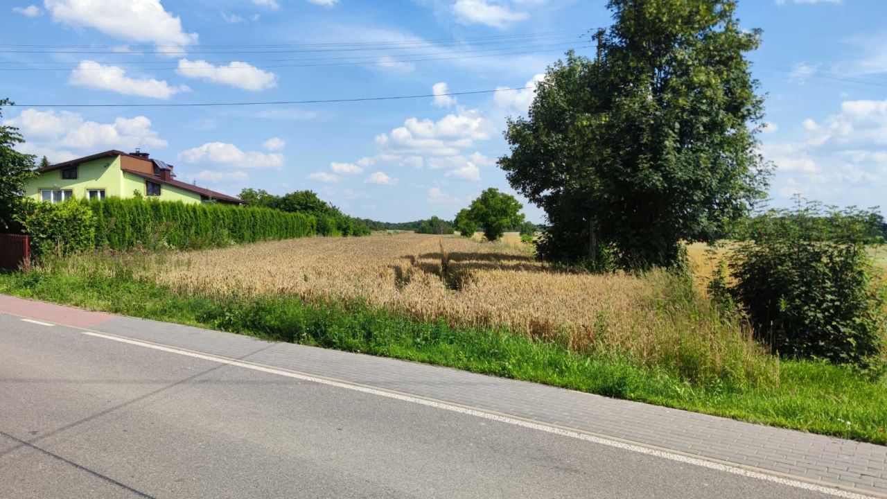 Działka rolno-budowlana Polichna Polichna Czwarta