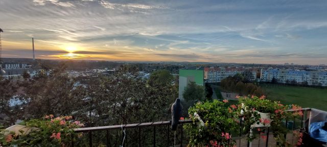 Mieszkanie 2-pokojowe Lubin Przylesie, ul. Leśna. Zdjęcie 1