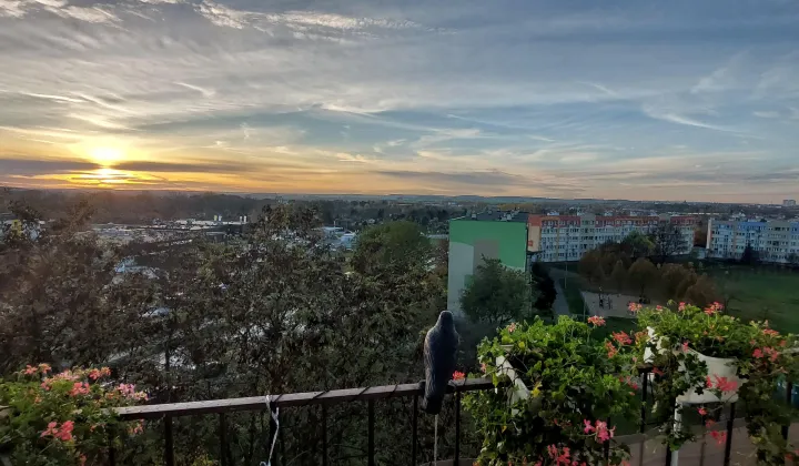 Mieszkanie 2-pokojowe Lubin Przylesie, ul. Leśna