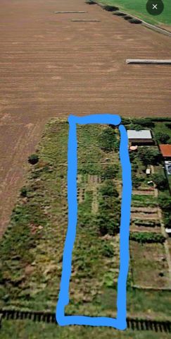 Działka budowlana Kruszwica, ul. Miodowa. Zdjęcie 1