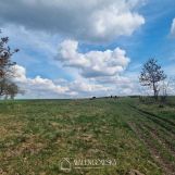 Działka siedliskowa Łabiszewo. Zdjęcie 4