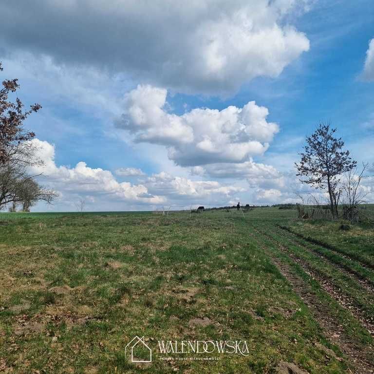 Działka siedliskowa Łabiszewo. Zdjęcie 6
