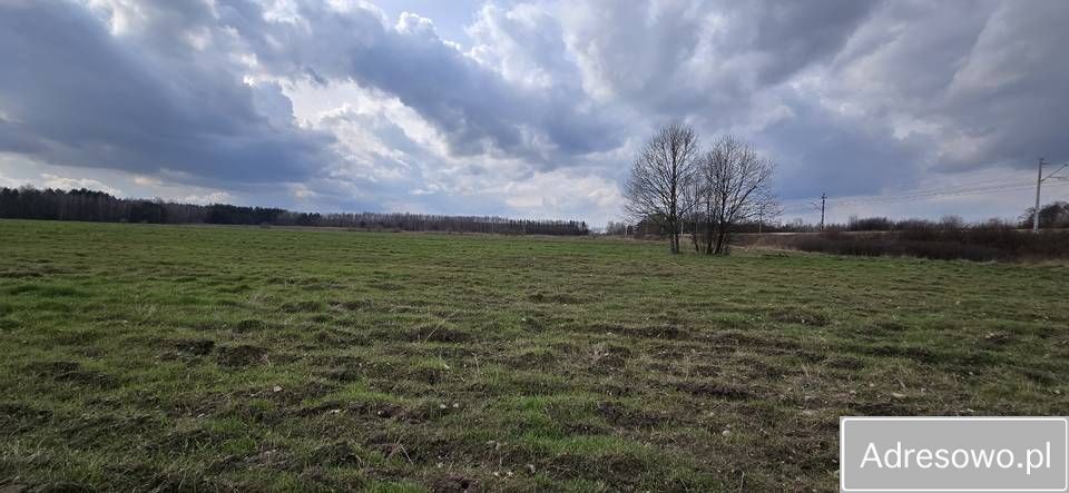 Hala/magazyn Guzów-Kolonia. Zdjęcie 6