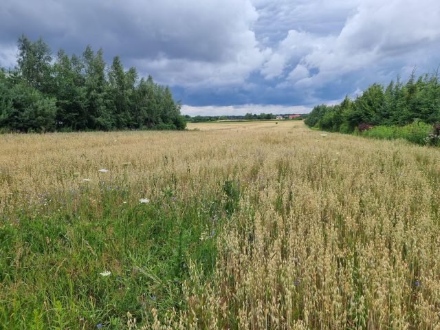 Działka siedliskowa Jabłonna Pierwsza. Zdjęcie 1