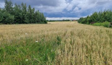 Działka siedliskowa Jabłonna Pierwsza