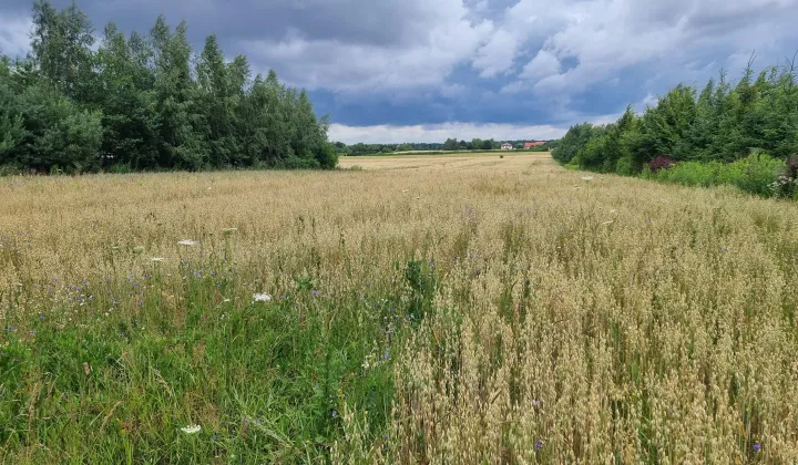 Działka siedliskowa Jabłonna Pierwsza