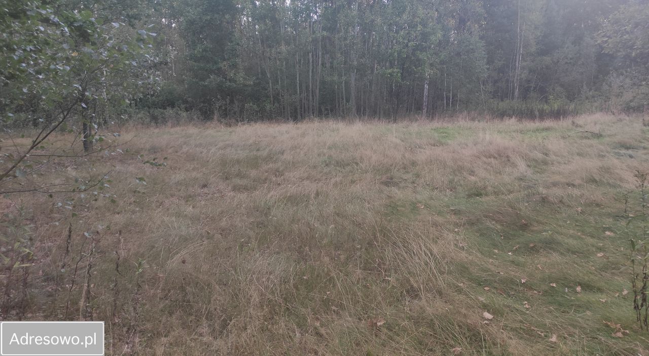 Działka rolno-budowlana Wielgolas Duchnowski, ul. Krajobrazowa. Zdjęcie 3