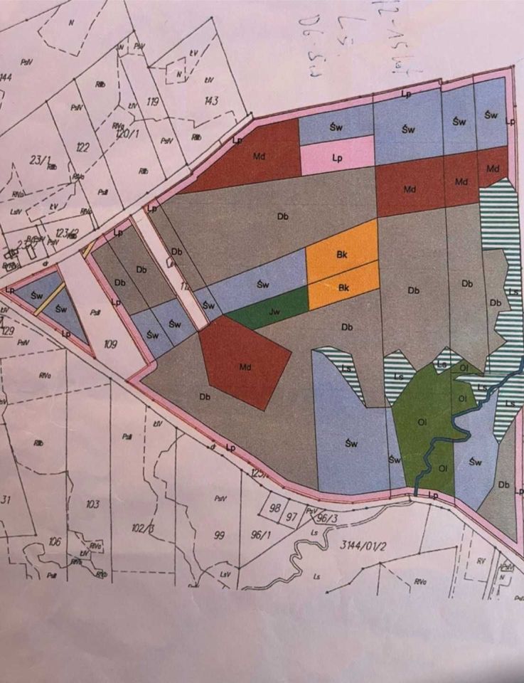 Działka leśna Kumkiejmy. Zdjęcie 2