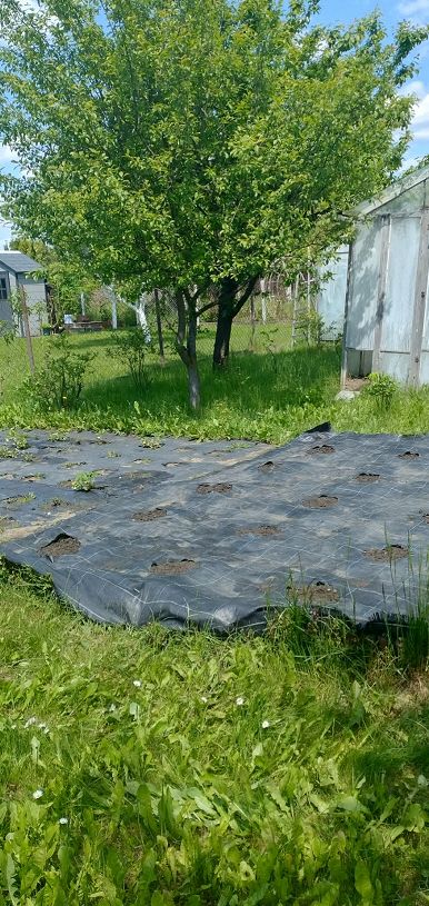 Działka rod Zaborze Borowiec, ul. Tatarska Grobel. Zdjęcie 11