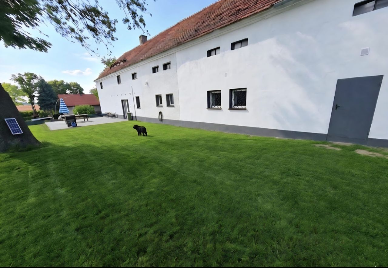 inny, 8 pokoi Stoszowice. Zdjęcie 4