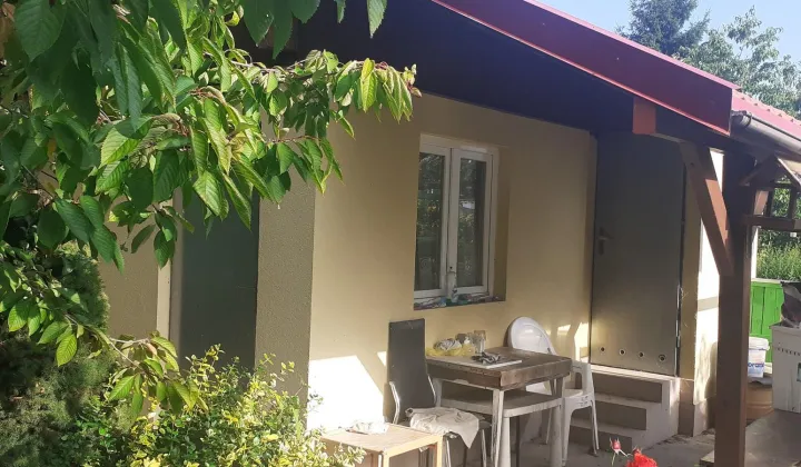 Działka rod Grzybiany, ul. Legnicka