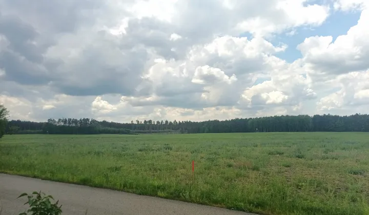 Działka budowlana Celiny