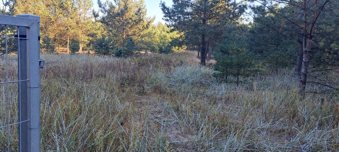 Działka budowlana Klempicz. Zdjęcie 11