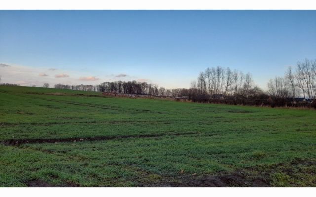 Działka budowlana Krzeczyn Wielki. Zdjęcie 1